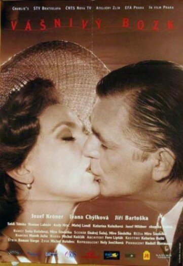 Страстный поцелуй (1994) постер