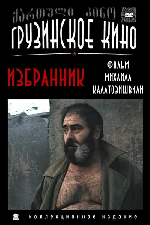 Избранник (1991) постер