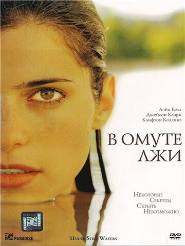 В омуте лжи (2008) постер