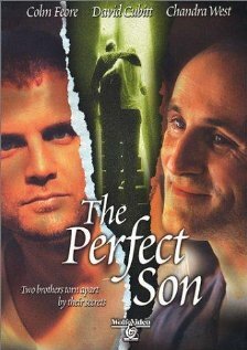 Идеальный сын (2000) постер