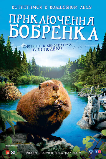 Приключения бобрёнка (2007)